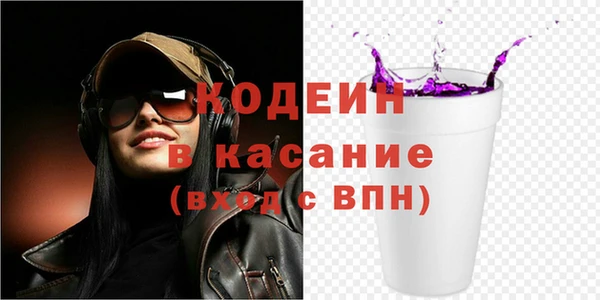 шишки Магас