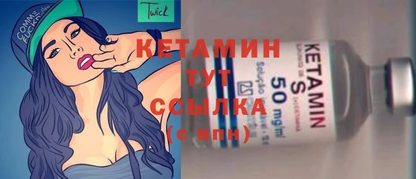 шишки Магас