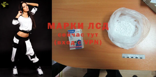 шишки Магас