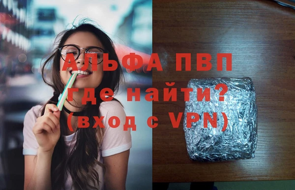 шишки Магас