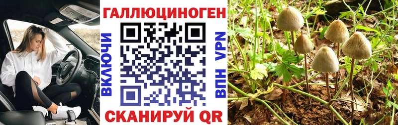 Псилоцибиновые грибы MAGIC MUSHROOMS  цена   Юрюзань 